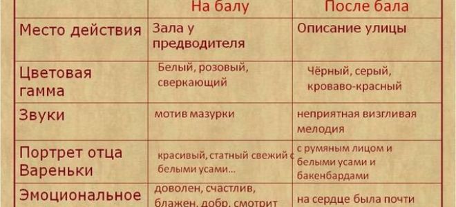Сочинение описание бала (рассказ после бала толстого)