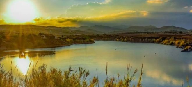 Краткое содержание в лесах мельникова