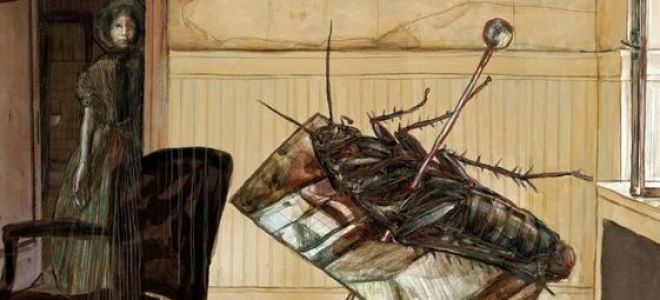 Краткое содержание повести превращение кафки