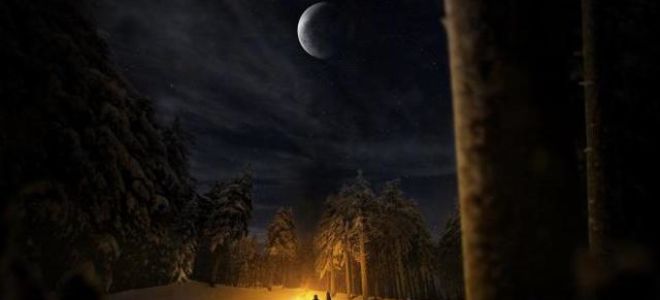 Описание природы в рассказе бежин луг тургенева 6 класс