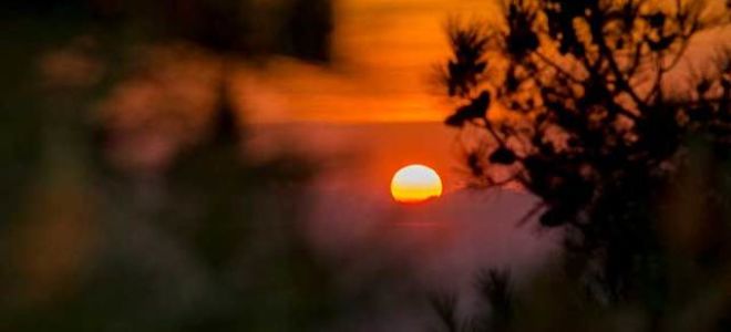 Еще мама — краткое содержание рассказа платонова