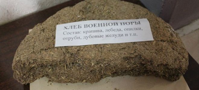 Блокада ленинграда — сообщение доклад