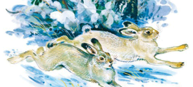 Серая шейка — краткое содержание рассказа мамина-сибиряка