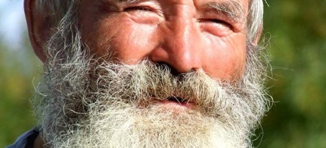 Анализ рассказа тургенева хорь и калиныч