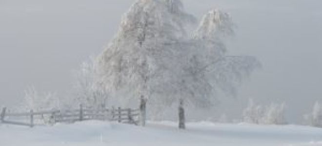 Анализ стихотворения пушкина зимний вечер 5, 6 класс