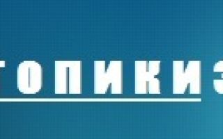 Сочинение про интернет на русском языке
