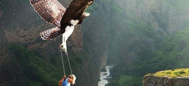 Необычайное приключение — краткое содержание стиха маяковский