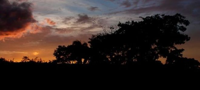 Анализ стихотворения ахматова двадцать первое. ночь. понедельник (21 ночь)