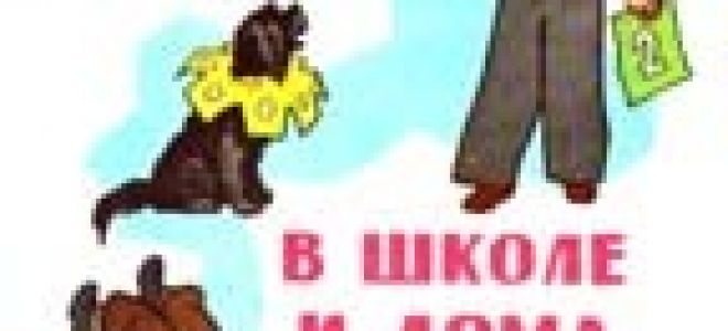 Витя малеев в школе и дома — краткое содержание рассказа носова