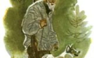 Емеля охотник — краткое содержание мамина-сибиряка