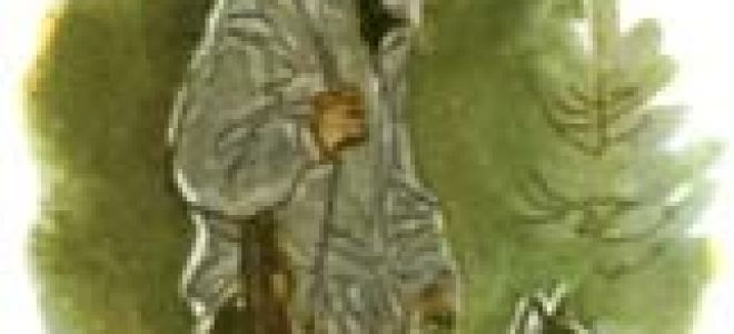 Емеля охотник — краткое содержание мамина-сибиряка