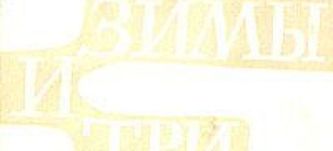 Две зимы и три лета — краткое содержание рассказа абрамова