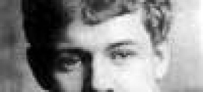 Анализ стихотворения синий туман. снеговое раздолье есенина