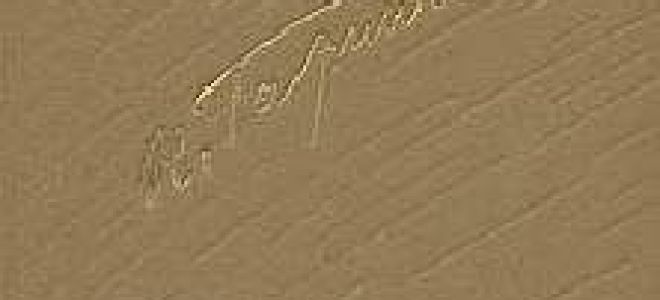 Студенты — краткое содержание рассказа гарин-михайловский