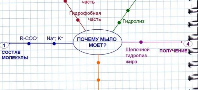 Мыло — сообщение по химии 10 класс