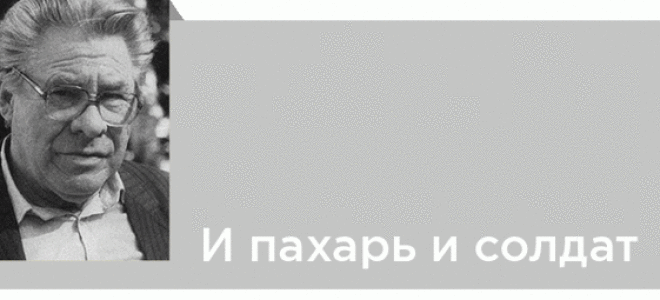 Усвятские шлемоносцы — краткое содержание рассказа носова