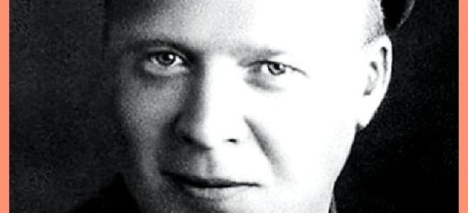 Горячий камень — краткое содержание рассказа гайдара