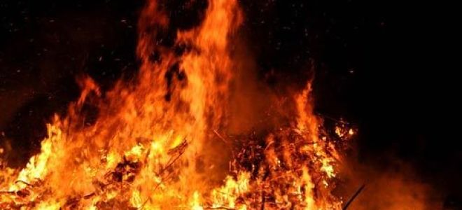 Мысль семейная в романе толстого война и мир сочинение