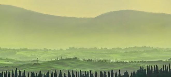 Анализ стихотворения на поле куликовом блока