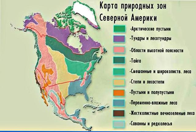 Северная Америка - доклад сообщение (2, 3 класс окружающий мир, 7 класс география)