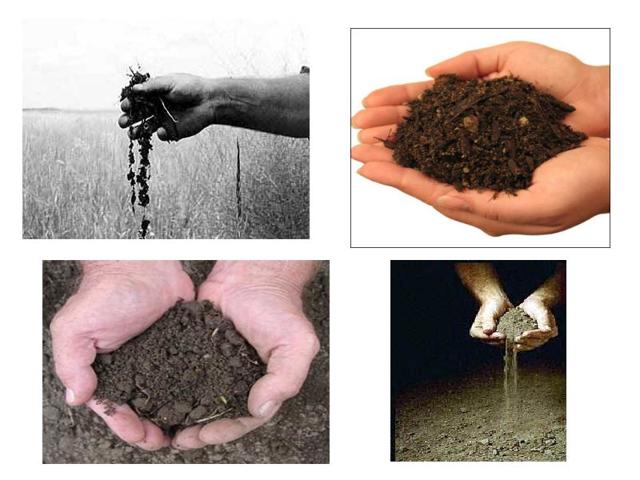 Охрана почвы - сообщение доклад