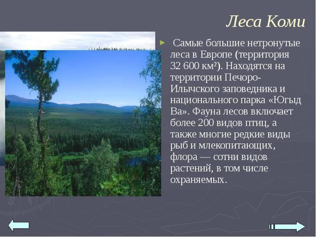 Сообщение Природа России (доклад)