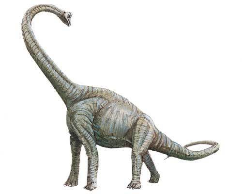 Доклад на тему Динозавры
