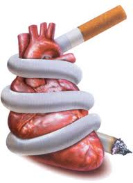 Доклад О вреде курения сообщение