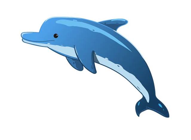 Дельфины - сообщение доклад (2, 4, 5, 7 класс)