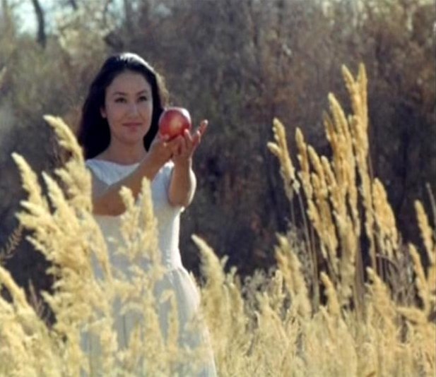 Красное яблоко - краткое содержание рассказа Айтматова