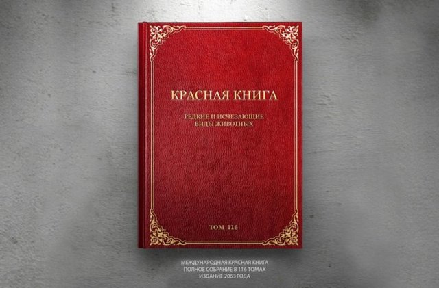 Сообщение Ландыш майский (красная книга 3 класс окружающий мир)