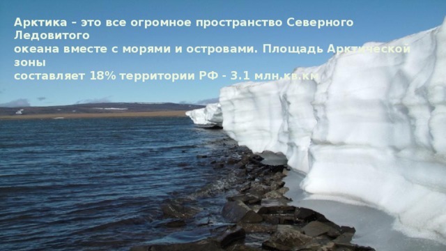 Сообщение Животные ледяной зоны (доклад для 4 класса, окружающий мир)