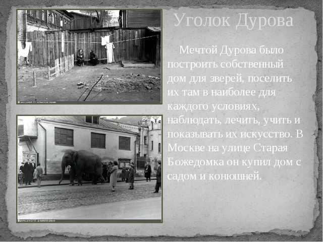 Мои звери - краткое содержание книги Дурова