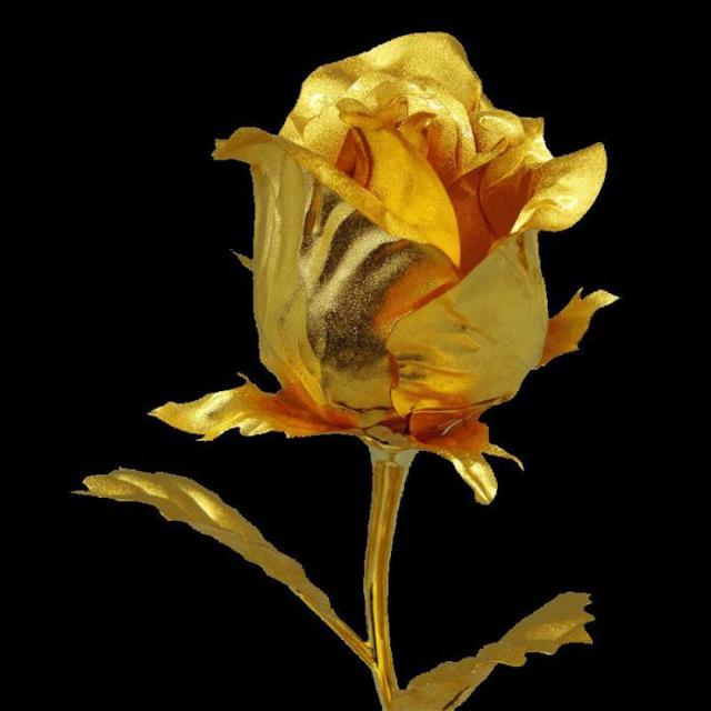 Золотая роза - краткое содержание Паустовский