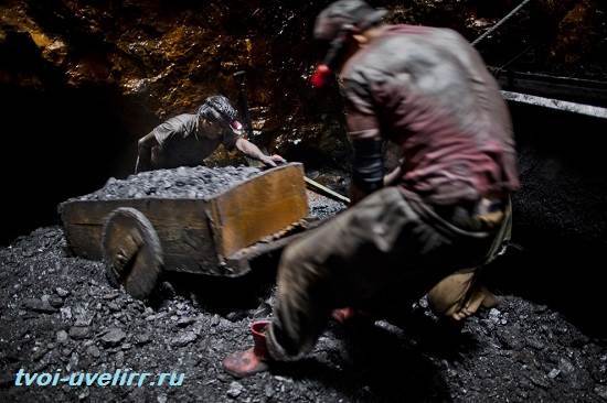 Каменный уголь - полезное ископаемое сообщение доклад