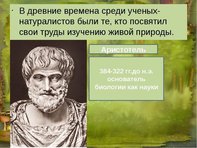 Аристотель - великий естествоиспытатель сообщение доклад 5 класс кратко