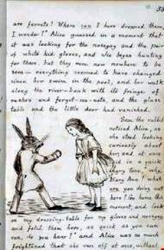 Приключения Алисы в Стране чудес - краткое содержание Льюиса Кэрролла