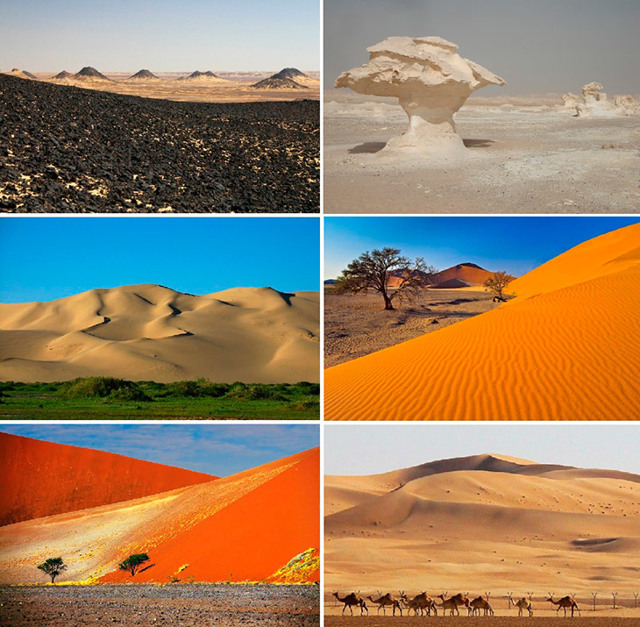 Пустыня - доклад сообщение (4 класс окружающий мир, 7 класс)