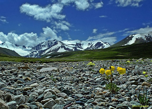 Алтайские горы - сообщение (4 класс Окружающий мир) доклад